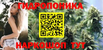 ПСИЛОЦИБИНОВЫЕ ГРИБЫ Чебаркуль